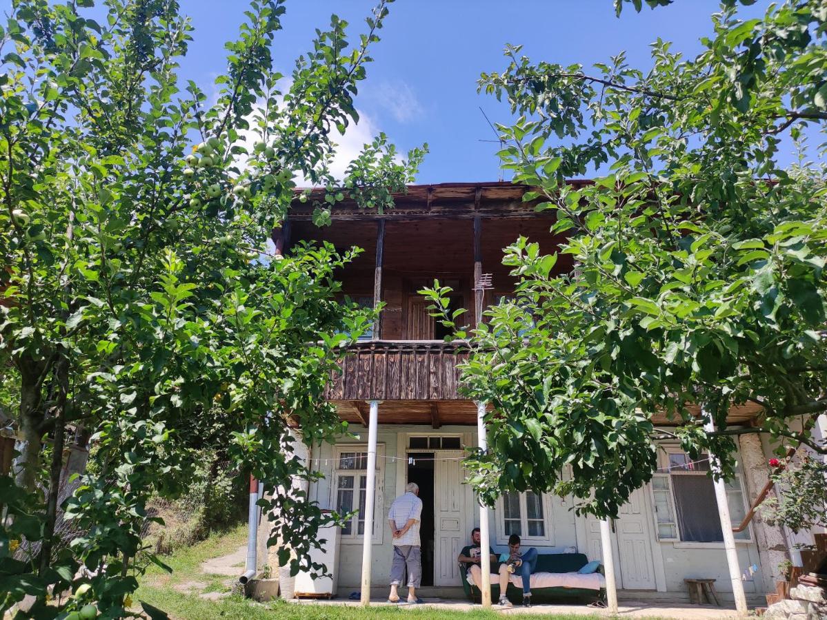 Racha Chogovadze'S Guest House Ambrolaouri Extérieur photo