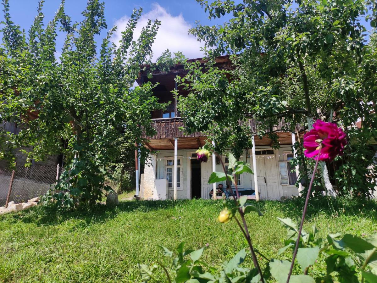 Racha Chogovadze'S Guest House Ambrolaouri Extérieur photo